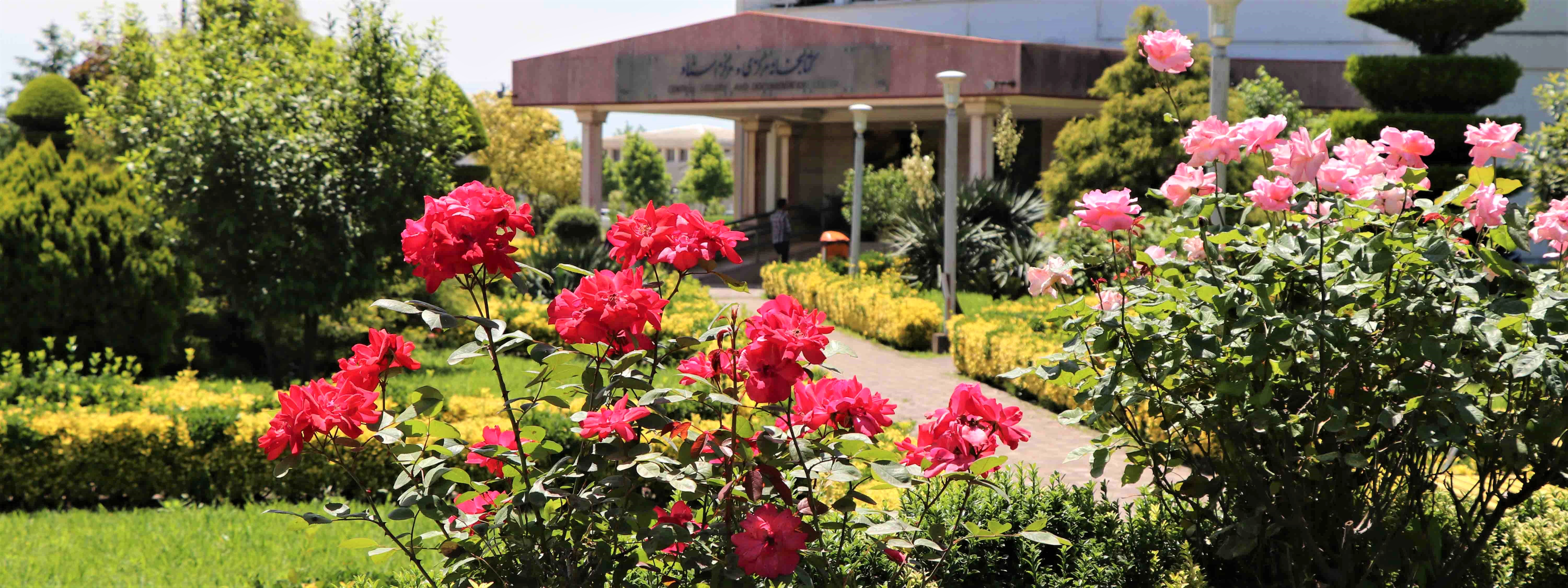 تصویر کوچک