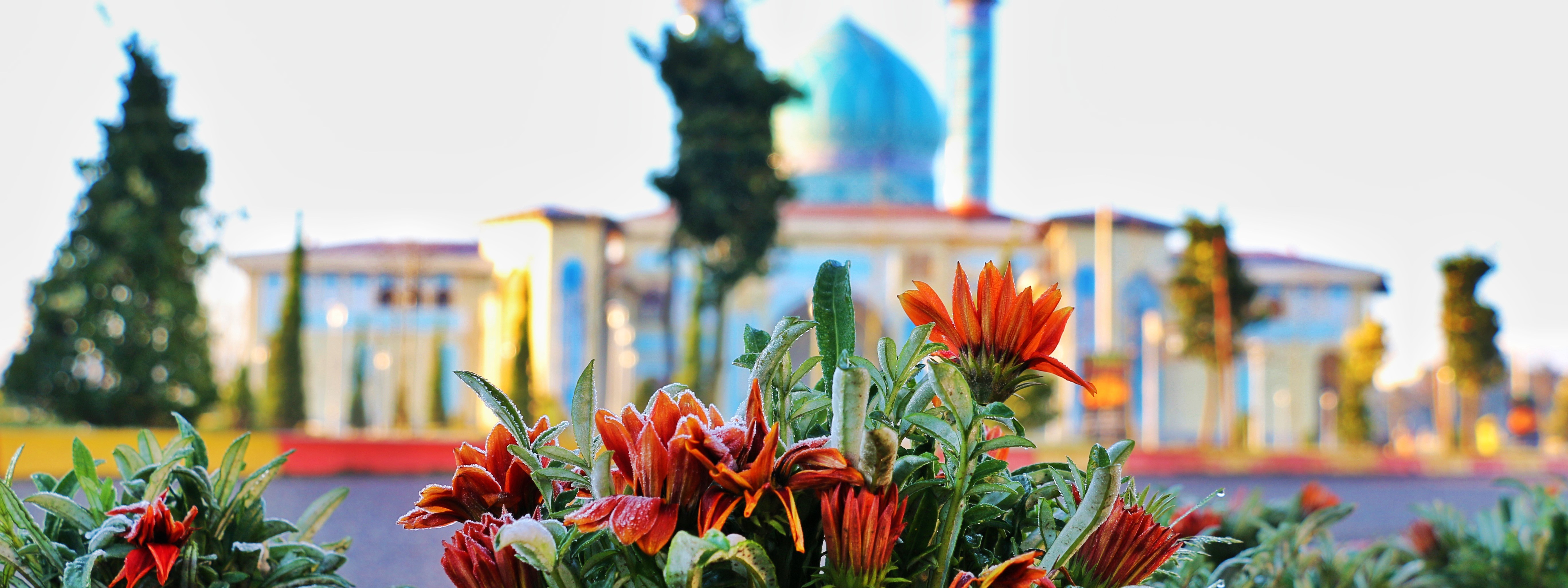 تصویر کوچک