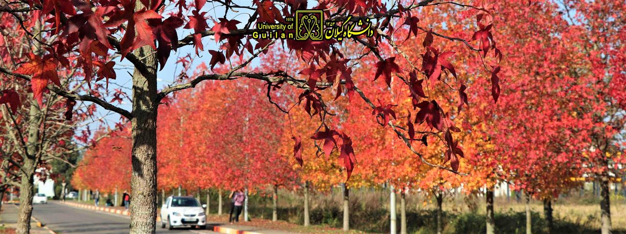 تصویر کوچک