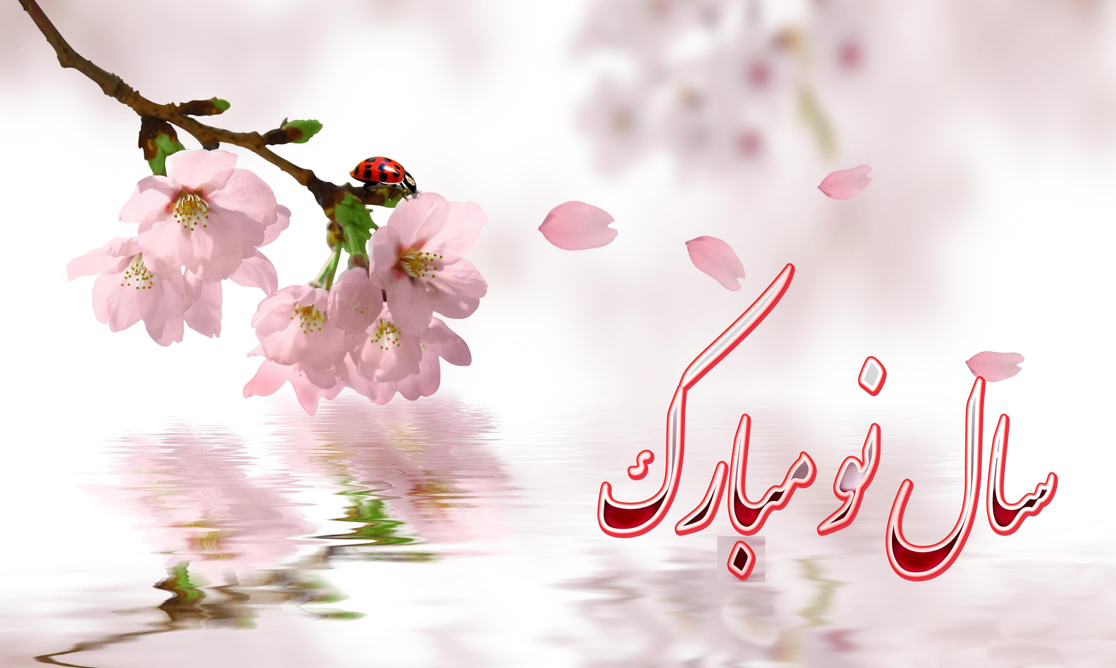 تصویر کوچک