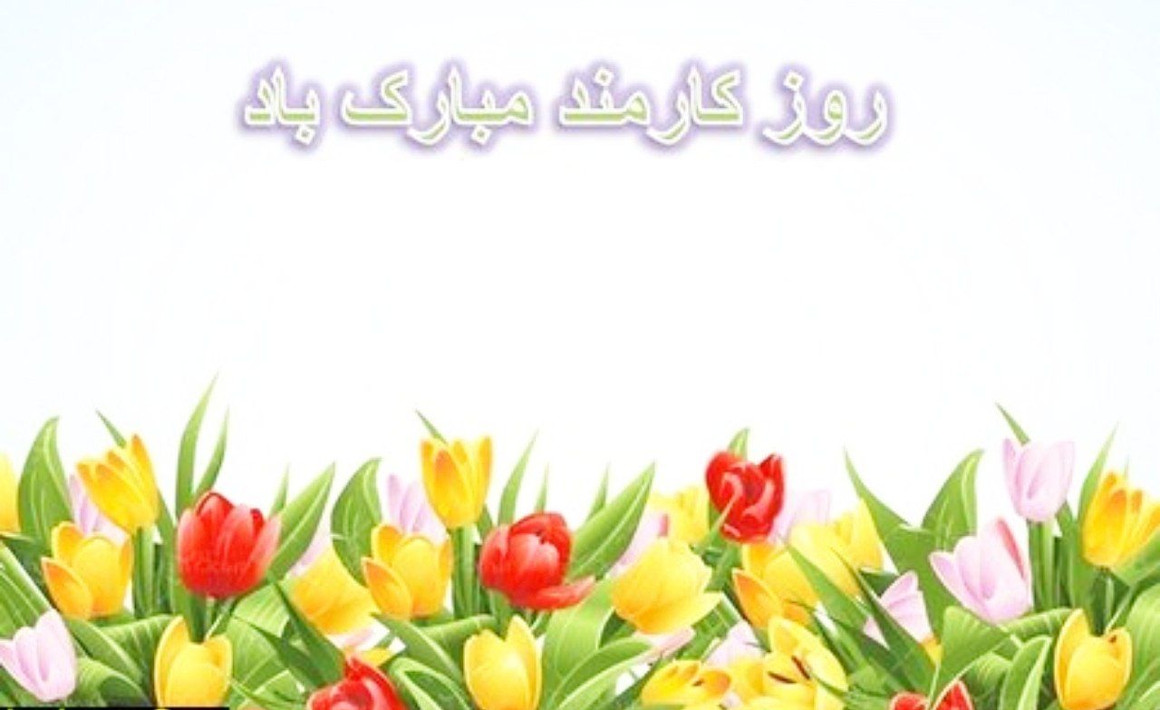 تصویر کوچک