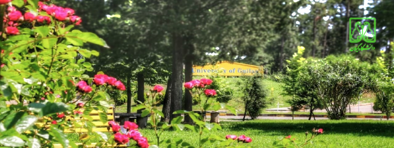 تصویر کوچک