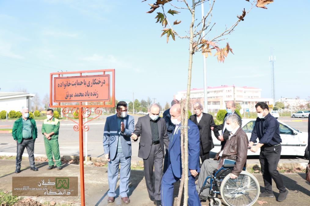 تصویر کوچک