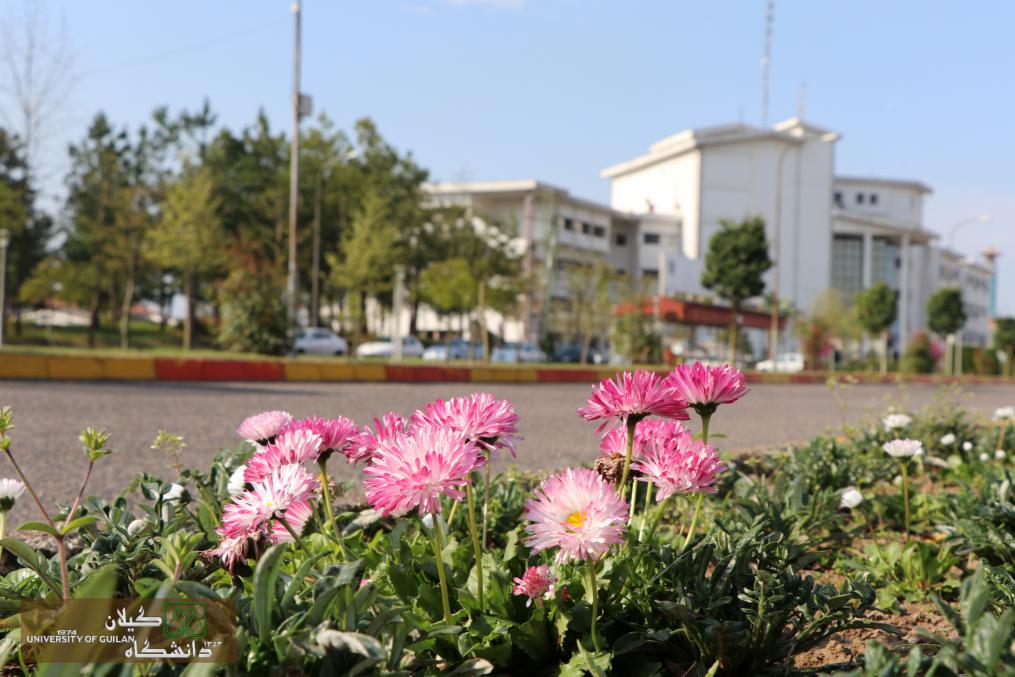 تصویر کوچک