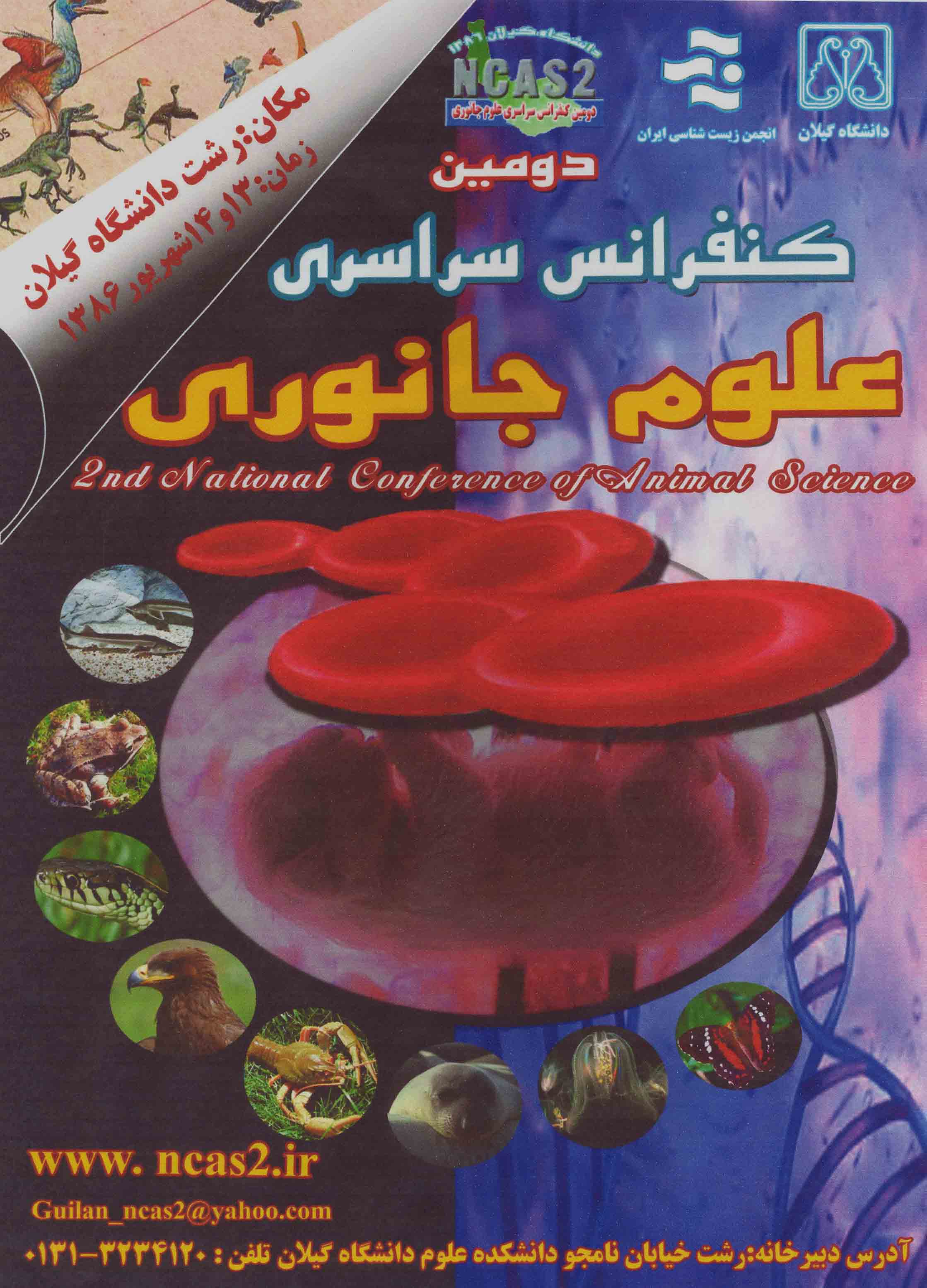 تصویر کوچک