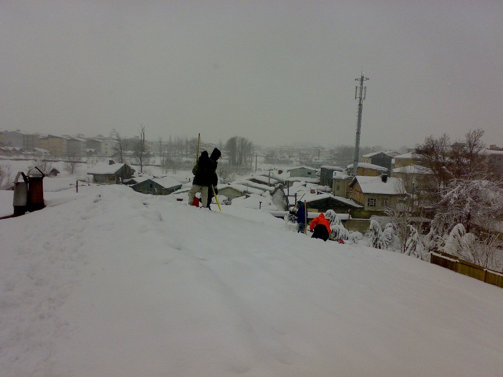تصویر کوچک