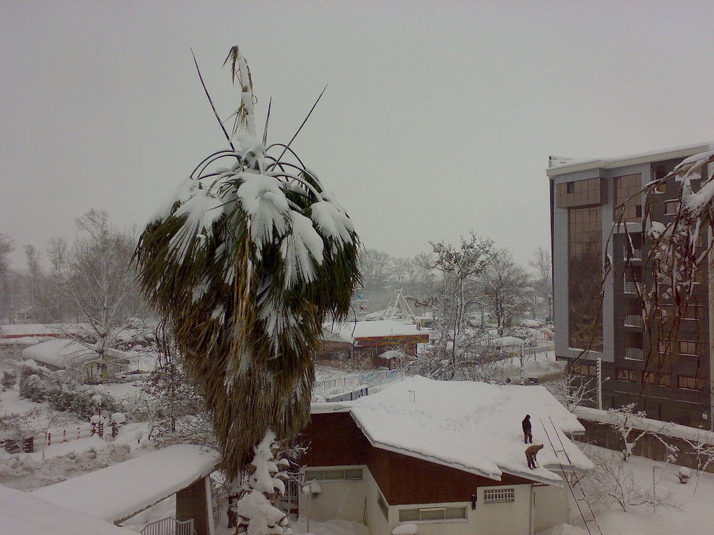 تصویر کوچک