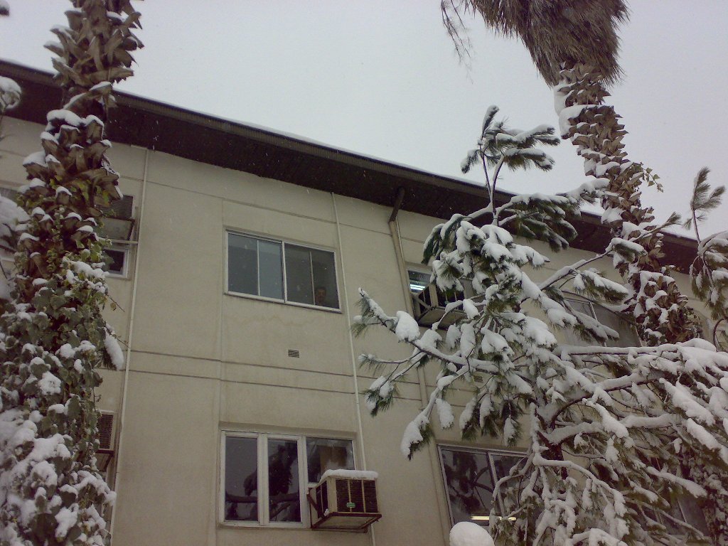 تصویر کوچک