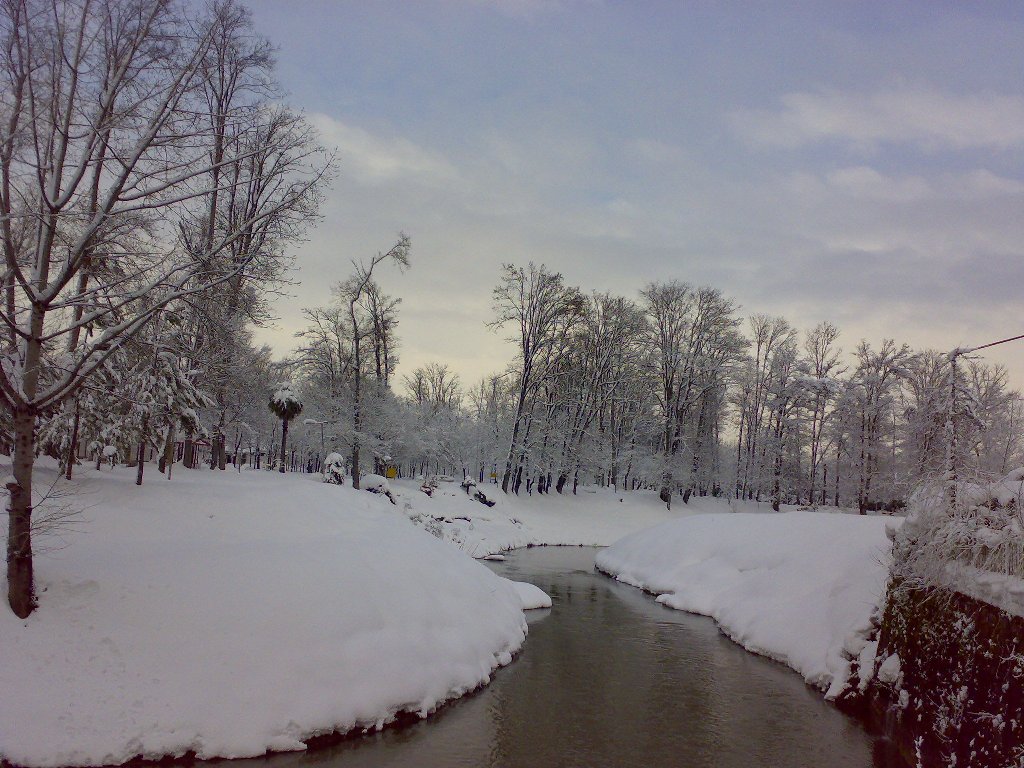 تصویر کوچک