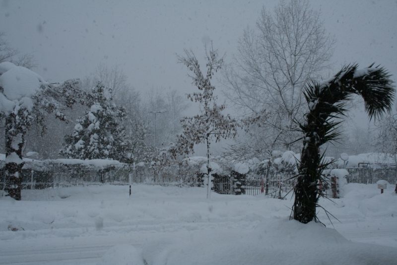 تصویر کوچک