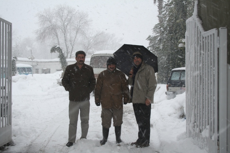تصویر کوچک
