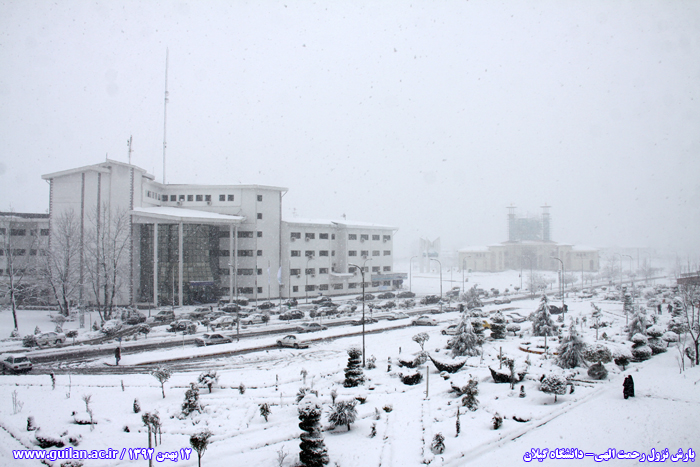 تصویر کوچک