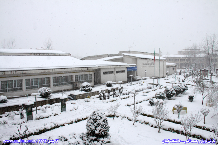 تصویر کوچک