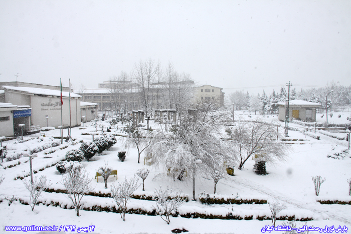 تصویر کوچک