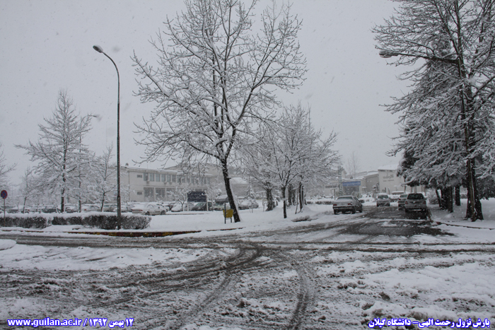 تصویر کوچک