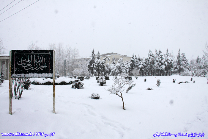 تصویر کوچک