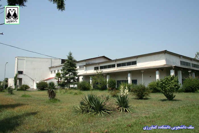 تصویر کوچک
